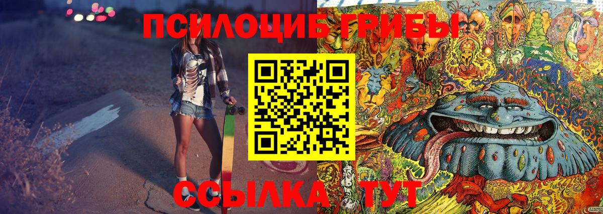 Псилоцибиновые грибы прущие грибы Усолье-Сибирское
