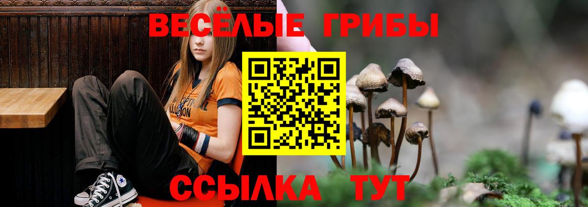 Усолье-Сибирское  Галлюциногенные грибы Psilocybe  где можно купить наркотик  Вход с VPN 
